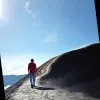 Ali Zhu