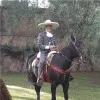 Jorge Romero García
