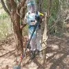 Tafara Mauruka
