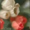 Maria Hanna Mapoy