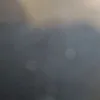 Nello DiCostanzo