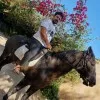 Tirrou Oussama