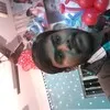 PRASAN Seal