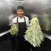 Rahul Firmal