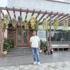 CA Srikanth Penta