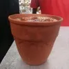 rithik