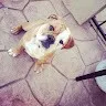 Jimmy