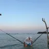 Cliff Suryadharma