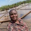 Temitope Babajide