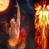 Phoenix Bias