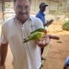 Nataraj