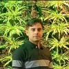 Tanveer Raja