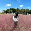 ShuTing Zhao