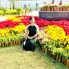 Nhung Le