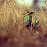 kathir vel