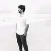 Vineel