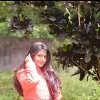 Prabha