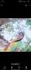 Lalita Padhi