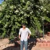 vikas kandari
