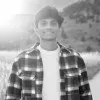 Siddarth Vellingiri