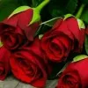 Neeraj Tomar