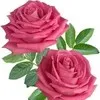 Rameshwar Yadav