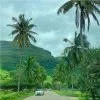 Ahmed ahmed