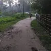 Bidhan Bardhan