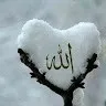 md Irfan